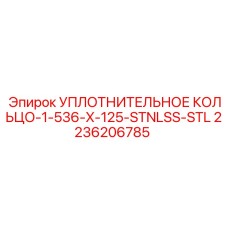 Кольцо для агрессивных сред 1-536-X-125-STNLSS-STL