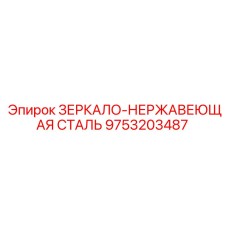 9753203487 ЗЕРКАЛО-НЕРЖАВЕЮЩАЯ СТАЛЬ Epiroc