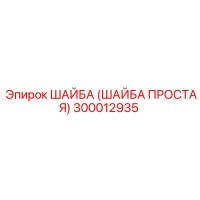 300012935 ШАЙБА (ШАЙБА ПРОСТАЯ) Epiroc