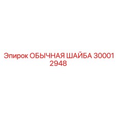 300012948 ОБЫЧНАЯ ШАЙБА Epiroc