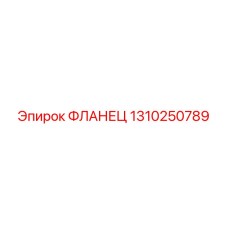1310250789 ФЛАНЕЦ Epiroc