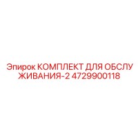 4729900118 КОМПЛЕКТ ДЛЯ ОБСЛУЖИВАНИЯ-2 Epiroc