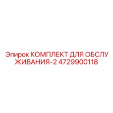 4729900118 КОМПЛЕКТ ДЛЯ ОБСЛУЖИВАНИЯ-2 Epiroc