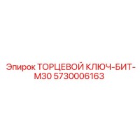 5730006163 ТОРЦЕВОЙ КЛЮЧ-БИТ-M30 Epiroc