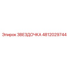4812029744 ЗВЕЗДОЧКА Epiroc