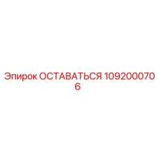 1092000706 ОСТАВАТЬСЯ Epiroc