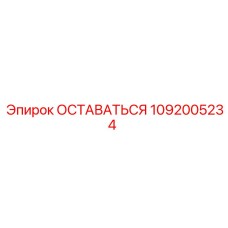 1092005234 ОСТАВАТЬСЯ Эпирок