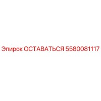 5580081117 STAY Epiroc