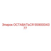 5590004377 STAY Epiroc