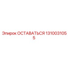 1310031055 ОСТАВАТЬСЯ Epiroc
