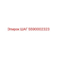 5590002323 ШАГ Epiroc