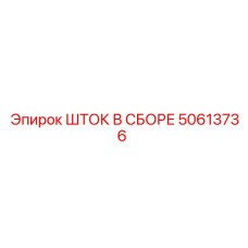 50613736 ШТОК В СБОРЕ Epiroc