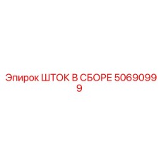 50690999 ШТОК В СБОРЕ Epiroc