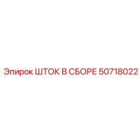 50718022 ШТОК В СБОРЕ Epiroc
