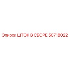 50718022 ШТОК В СБОРЕ Epiroc