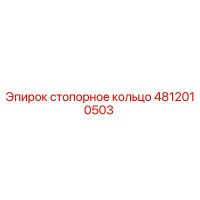 4812010503 стопорное кольцо Эпирок