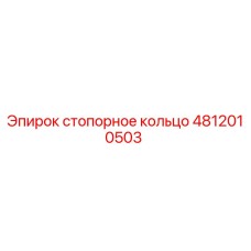 4812010503 стопорное кольцо Эпирок