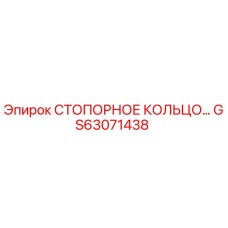 GS63071438 СТОПОРНОЕ КОЛЬЦО Epiroc