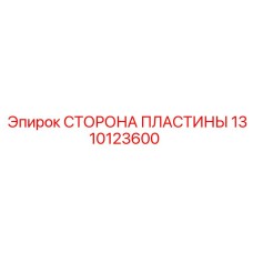 1310123600 СТОРОНА ПЛАСТИНЫ (Epiroc)
