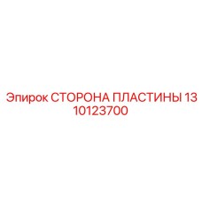 1310123700 СТОРОНА ПЛАСТИНЫ (Epiroc)