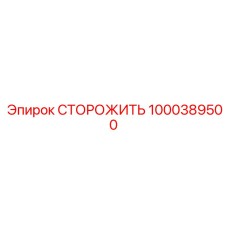 1000389500 СТОРОЖИТЬ Epiroc