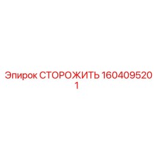 1604095201 СТОРОЖИТЬ Epiroc