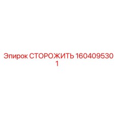 1604095301 СТОРОЖИТЬ Epiroc