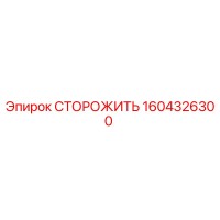1604326300 СТОРОЖИТЬ Epiroc