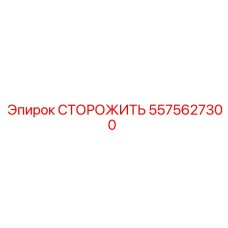 5575627300 СТОРОЖИТЬ Epiroc