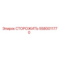 5580011770 СТОРОЖИТЬ Epiroc