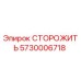 5730006718 СТОРОЖИТЬ Epiroc