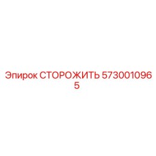 5730010965 СТОРОЖИТЬ Epiroc