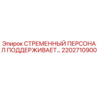 2202710900 СТРЕМЕННЫЙ ПЕРСОНАЛ ПОДДЕРЖИВАЕТ Epiroc