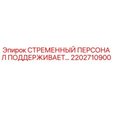 2202710900 СТРЕМЕННЫЙ ПЕРСОНАЛ ПОДДЕРЖИВАЕТ Epiroc