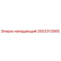 2653313565 Нападающий Epiroc