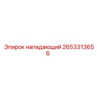 2653313656 Нападающий Epiroc