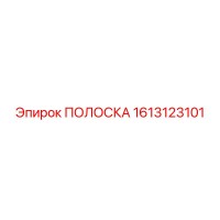 1613123101 ПОЛОСКА Epiroc