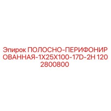 1202800800 ПОЛОСНО-ПЕРИФОРИРОВАННАЯ-1X25X100-17D-2H Epiroc