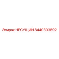 8440303892 НЕСУЩИЙ Epiroc
