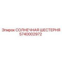 5740002972 СОЛНЕЧНАЯ ШЕСТЕРНЯ Epiroc