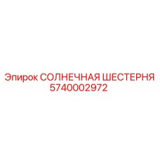 5740002972 СОЛНЕЧНАЯ ШЕСТЕРНЯ Epiroc