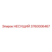 3760006467 НЕСУЩИЙ Epiroc