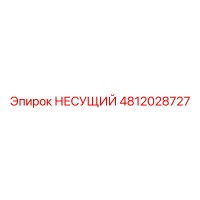 4812028727 НЕСУЩИЙ Epiroc