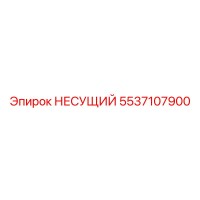 5537107900 НЕСУЩИЙ Epiroc