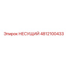 4812100433 НЕСУЩИЙ Epiroc