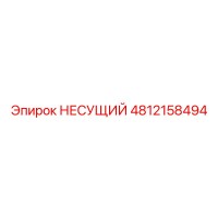 4812158494 НЕСУЩИЙ Epiroc