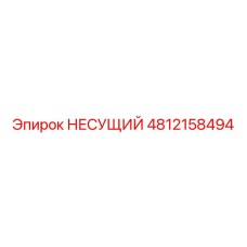 4812158494 НЕСУЩИЙ Epiroc