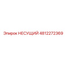 4812272369 НЕСУЩИЙ (Epiroc)