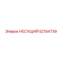 52154739 НЕСУЩИЙ Epiroc