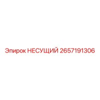 2657191306 НЕСУЩИЙ Epiroc